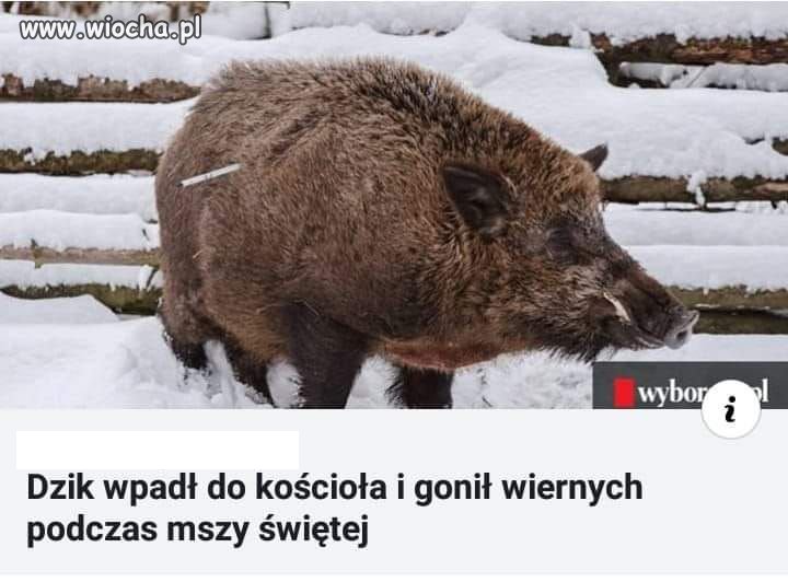 Pewno Opętany