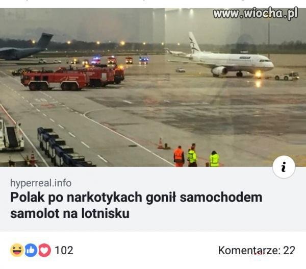 Polak potrafi