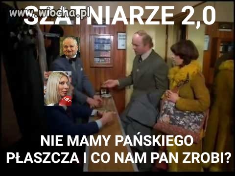 Bareja wiecznie żywy