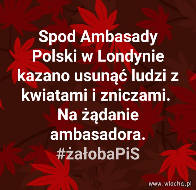 A w Pisie po staremu