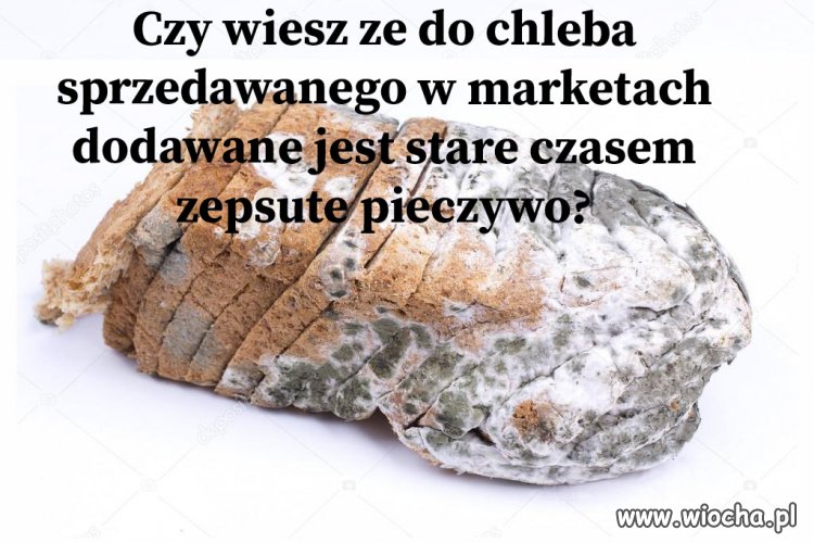 Pasza czy Jedzenie