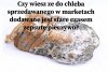 Pasza czy Jedzenie