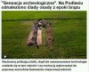 Łooo...!