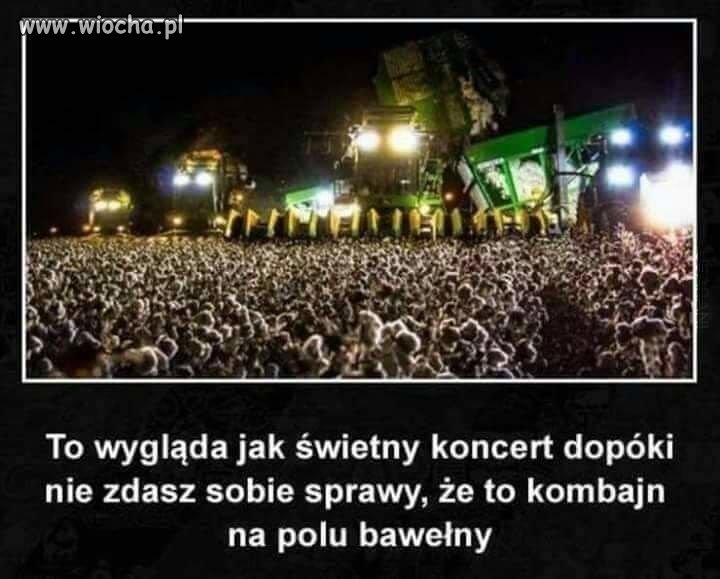 Coś innego niż mowa nienawiści 