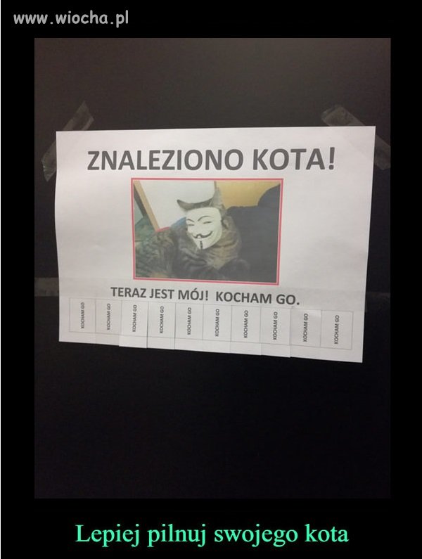 Ogłoszenie