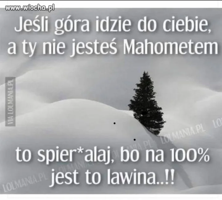 Dla narciarzy...