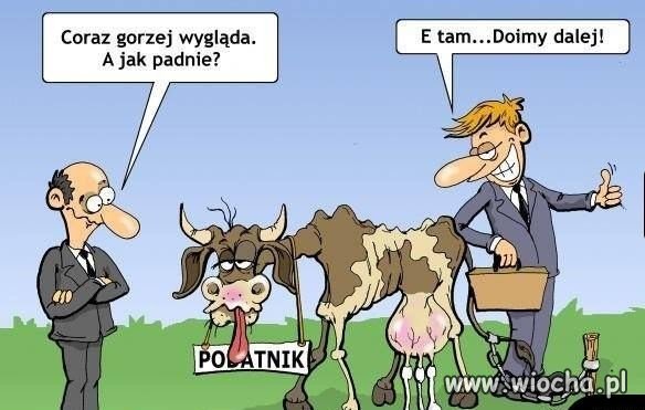Polityka