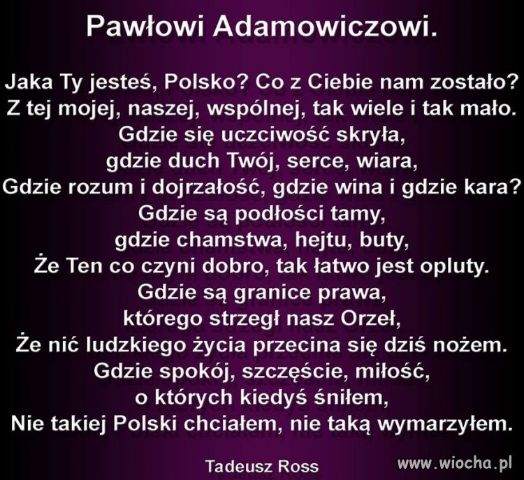 W hołdzie 