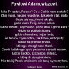 W hołdzie 