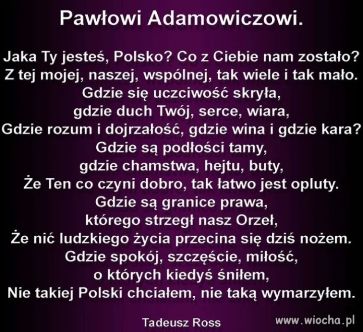 W hołdzie 