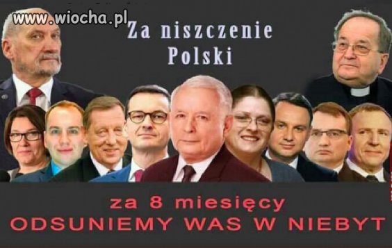 8 miesięcy