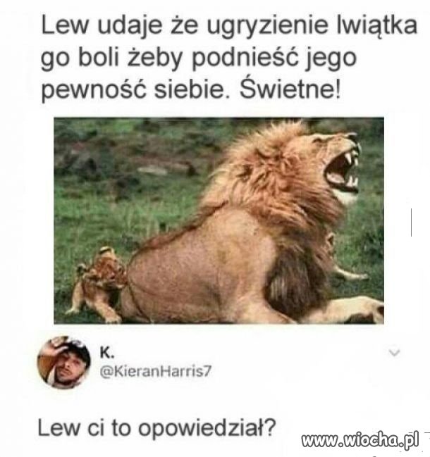 Lew   