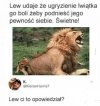 Lew   