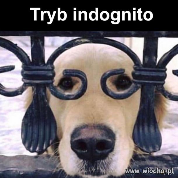 Tryb indognito