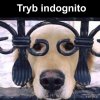 Tryb indognito