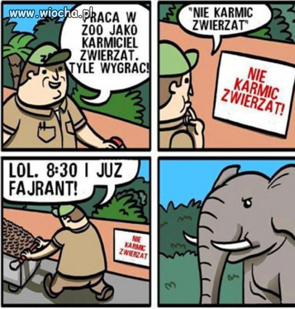  Karmiciel w ZOO