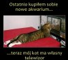 Kupno akwarium