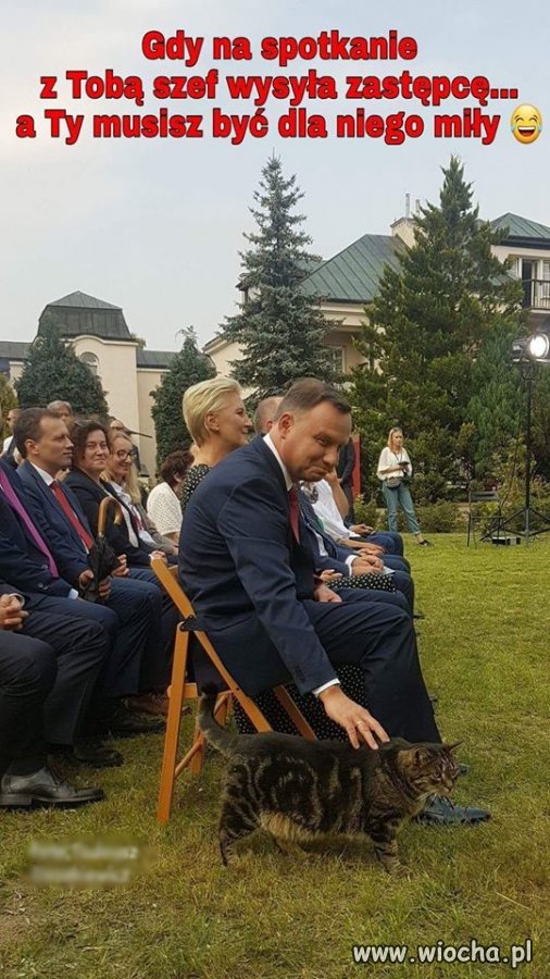 Zastępca szefa