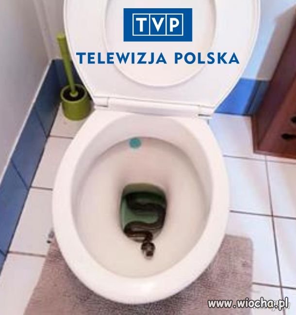 TVP...