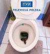 TVP...