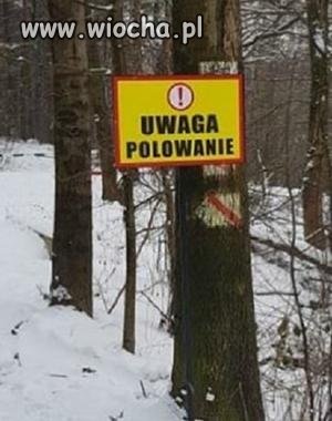 Mord dzików najwięcej jest myśliwych 