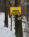 Mord dzików najwięcej jest myśliwych 