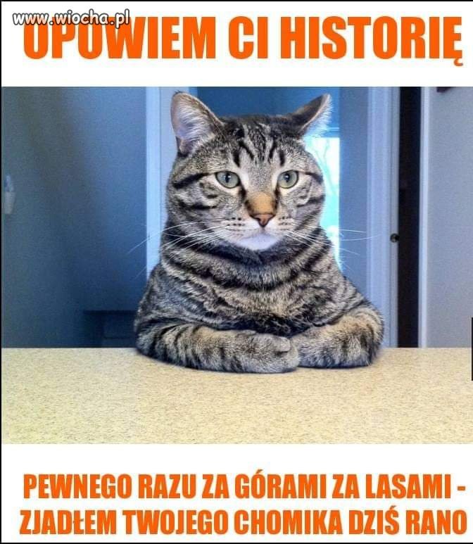 Kotełek 