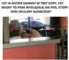 Czekaj, to nie jest pies?!