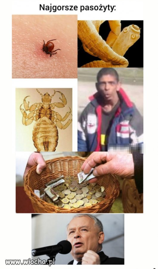 Najgorsze pasożyty: