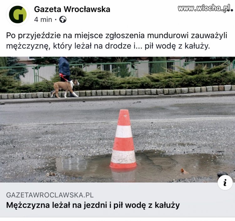 Bania u Wrocławian... balanga! 