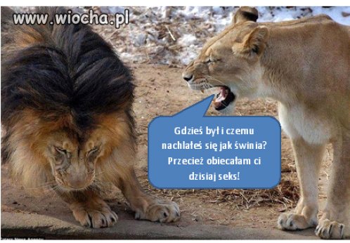  Sama sobie odpowiedziała...