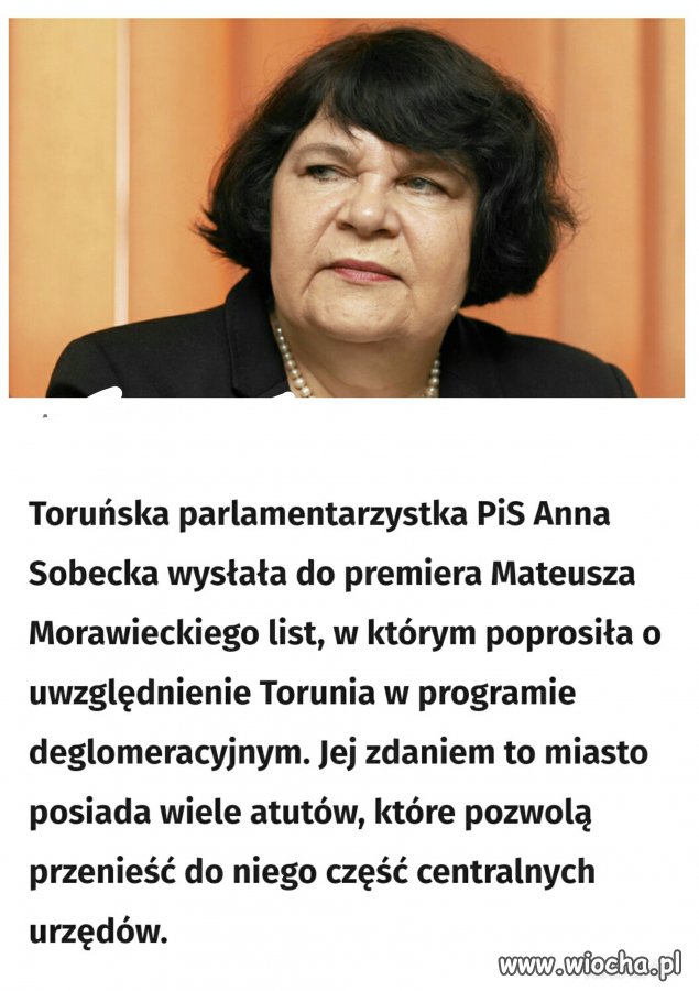 Genialny pomysł!! Wyje*ać cały PiS do Tadzia do Torunia