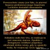 Tak naprawdę było, żadne tam...