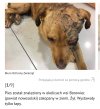 W okolicach Nowej Soli k/Zielonej Gory w lesie