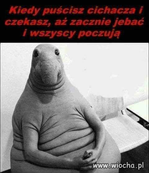 Z życia
