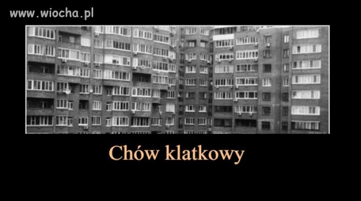 Chów klatkowy...