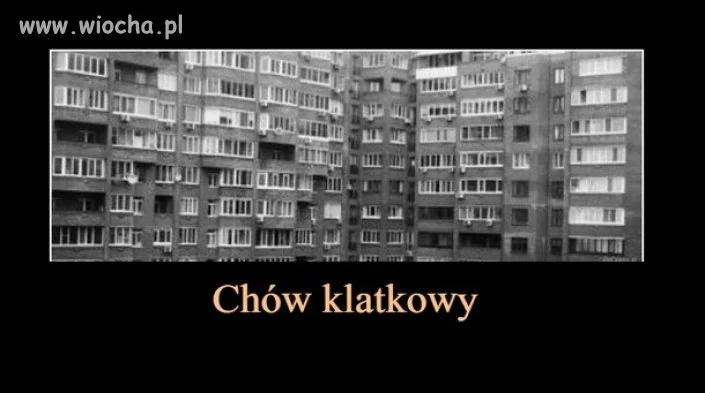 Chów klatkowy...