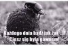 Być jak żuczek 