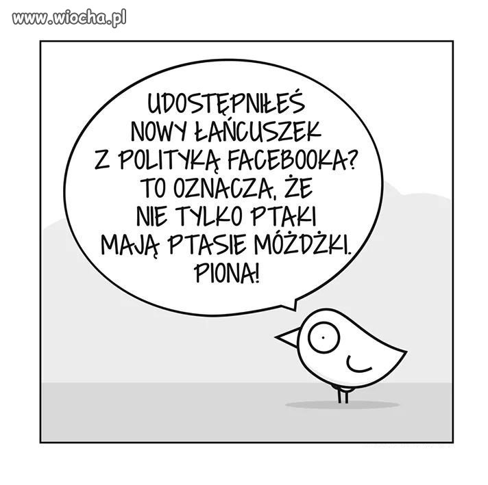 Ptaszek Staszek