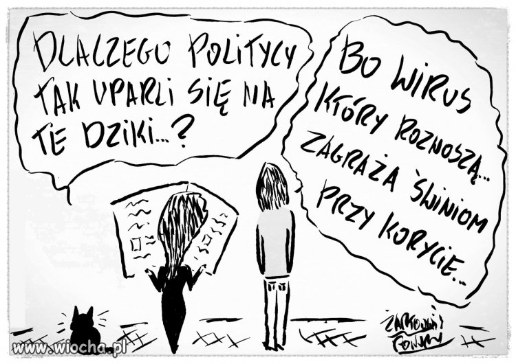 Chyba na czasie