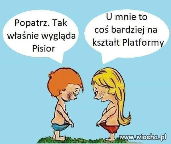 Coś dla poprawienia humoru