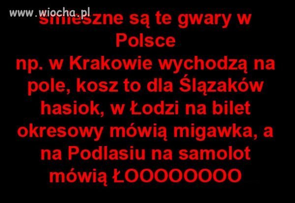 Takie tam z netu