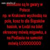 Takie tam z netu