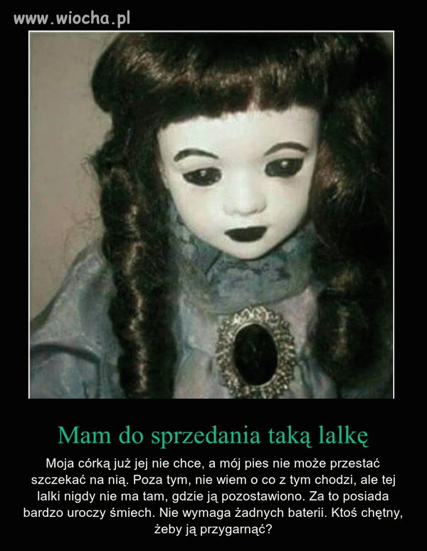 Ktoś jest zainteresowany?