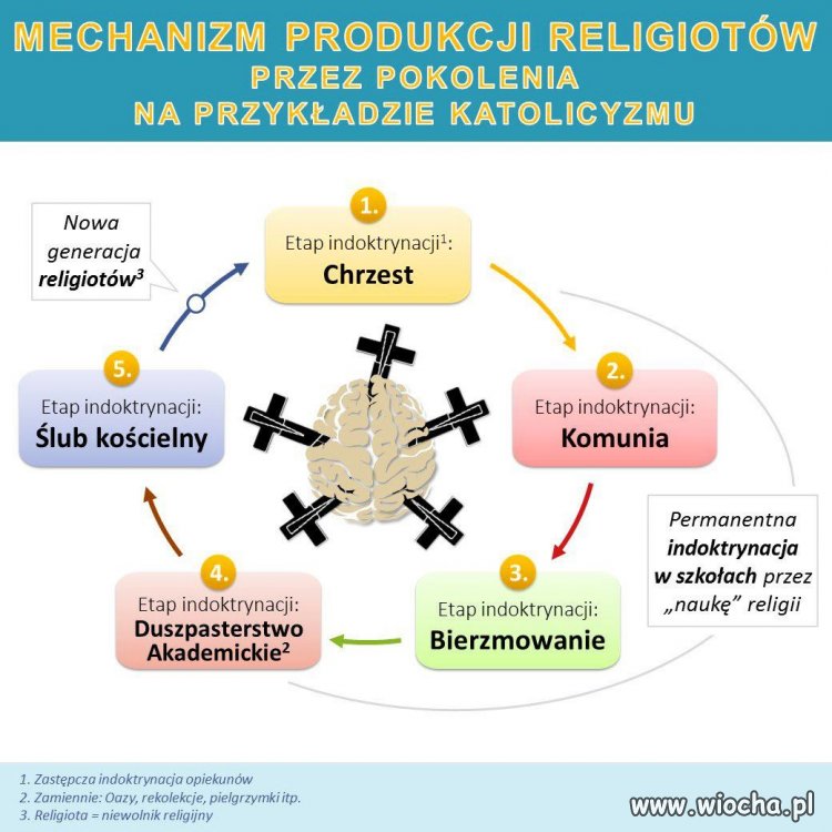 Cykl produkcji katolika