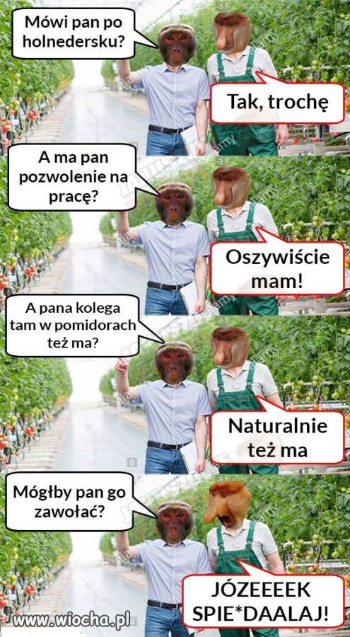 Polak na obczyźnie.