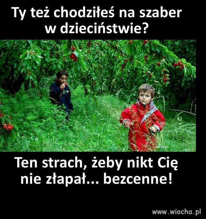 Coś w tym było