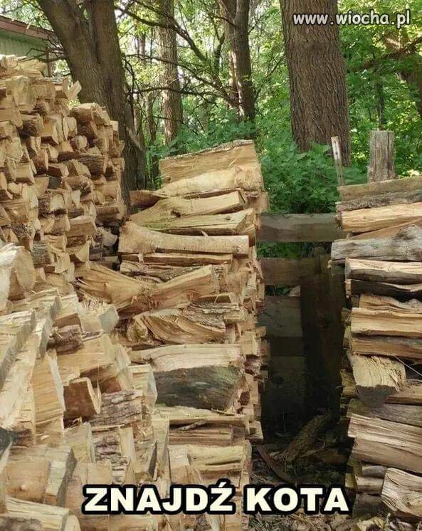 Ciekawe kto ma sprawne oko