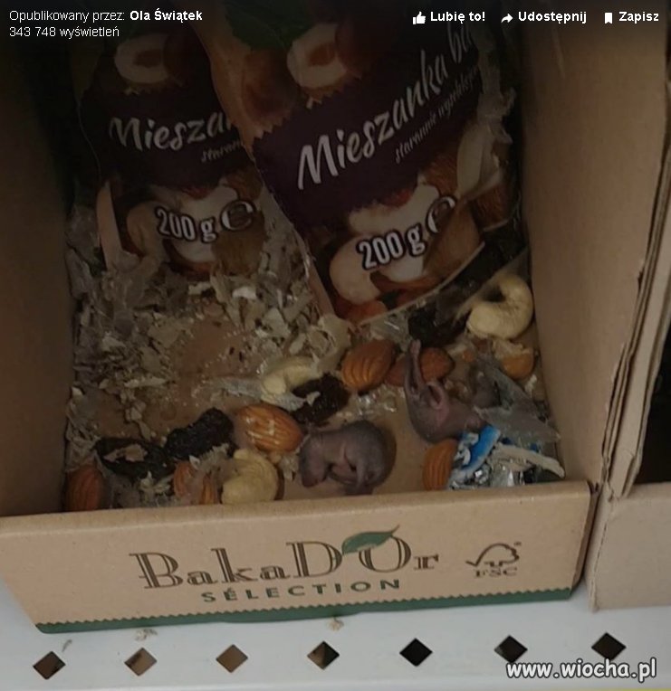 Biedronka