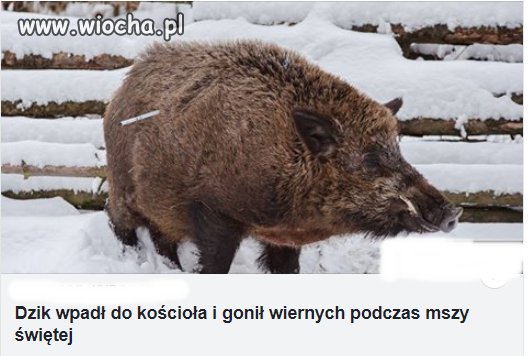 Sami zainteresowani wszczeli protest